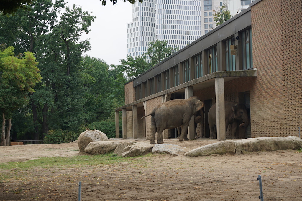 Berlīnes zoo